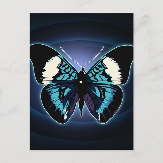 Carte Postale Papillon exotique (Devant)