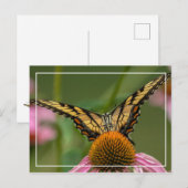 Carte Postale Papillon face à face (Devant / Derrière)