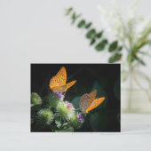 CARTE POSTALE PAPILLON FAUNE ET FLORE INSECTE POSTCROSSING (Debout devant)
