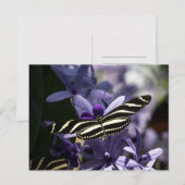 CARTE POSTALE PAPILLON FAUNE ET FLORE INSECTE POSTCROSSING (Devant / Derrière)