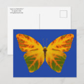 Carte Postale Papillon feuille Aspen 1 (Devant / Derrière)