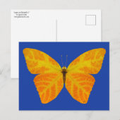Carte Postale Papillon feuille Aspen 3 (Devant / Derrière)