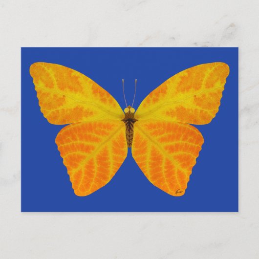 Carte Postale Papillon feuille Aspen 3 (Devant)