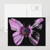 Carte Postale Papillon Fleur (Devant / Derrière)