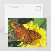 Carte Postale Papillon Fritillaire du Golfe reposant sur le tour (Devant / Derrière)