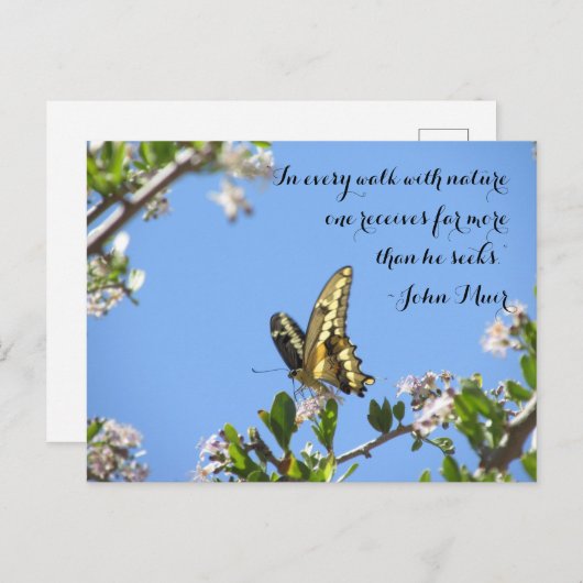 Carte Postale Papillon Géant à queue noire avec John Muir Citati (Devant / Derrière)