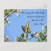 Carte Postale Papillon Géant à queue noire avec John Muir Citati (Devant)