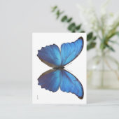 Carte Postale Papillon géant bleu morpho (Debout devant)