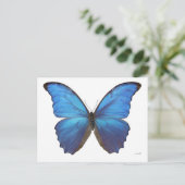 Carte Postale Papillon géant bleu Morpho (Debout devant)
