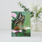 Carte Postale Papillon Géant Swallowtail sur Fleurs (Debout devant)