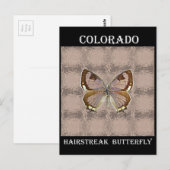 Carte Postale Papillon Hairstreak du Colorado (Devant / Derrière)