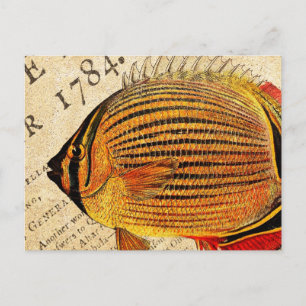 Carte Postale Papillon hawaïen vintage Poisson Customisé antique
