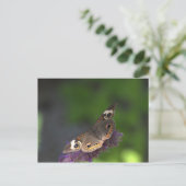 Carte Postale Papillon I (Debout devant)