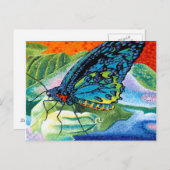 Carte Postale Papillon II (Devant / Derrière)