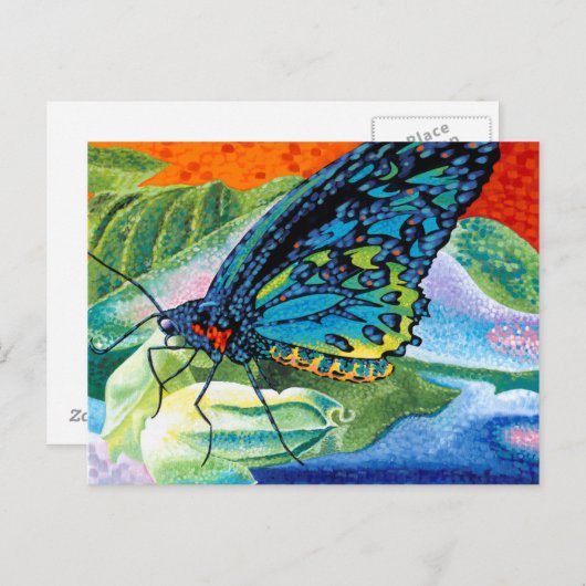 Carte Postale Papillon II (Devant / Derrière)