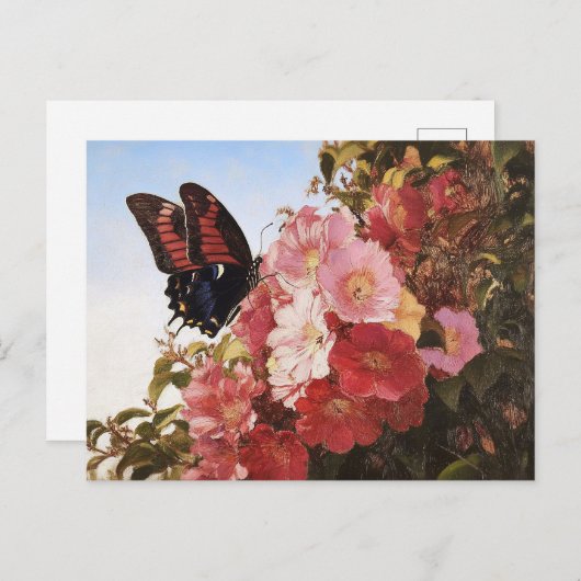 Carte Postale Papillon impressionniste et fleurs roses (Devant / Derrière)