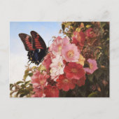 Carte Postale Papillon impressionniste et fleurs roses (Devant)