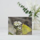 Carte Postale Papillon jaune (Debout devant)