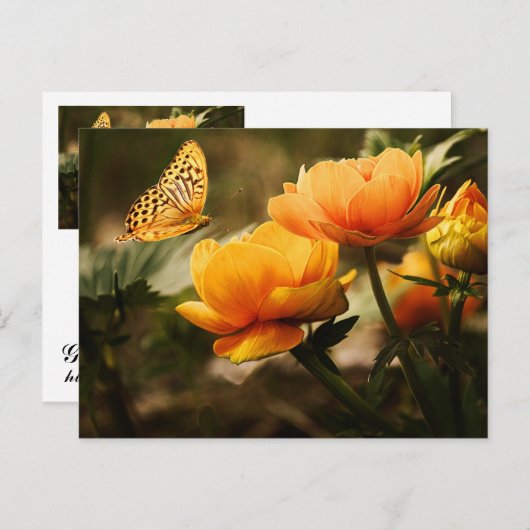 Carte Postale Papillon jaune d'or (Devant / Derrière)