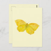 Carte Postale Papillon jaune Volant de pierre de taille commune (Devant / Derrière)