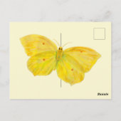 Carte Postale Papillon jaune Volant de pierre de taille commune (Dos)