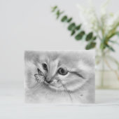 Carte postale papillon Kitten (Debout devant)