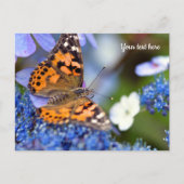 Carte postale Papillon Lady peinte (Devant)