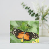 Carte postale Papillon long tigre (Debout devant)