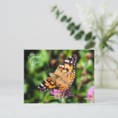 Carte postale Papillon Merci peint (Debout devant)