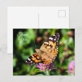Carte postale Papillon Merci peint (Devant / Derrière)