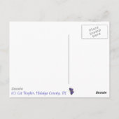 Carte Postale Papillon mexicain Bluewing (Myscelia ethusa) (Dos)