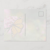 Carte Postale Papillon monarch uplifting et inspirant (Dos)