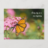 Carte Postale Papillon monarch uplifting et inspirant (Devant)