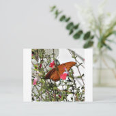 Carte Postale Papillon monarque (Debout devant)