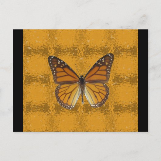 Carte Postale Papillon monarque (Devant)