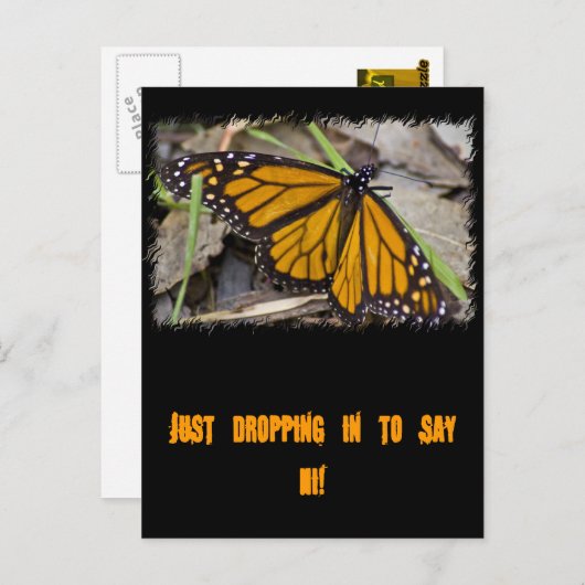 Carte Postale Papillon monarque (Devant / Derrière)