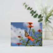 Carte postale papillon monarque (Debout devant)
