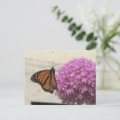 Carte postale Papillon Monarque (Debout devant)