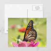 Carte Postale Papillon monarque (Devant / Derrière)