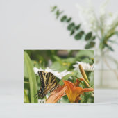 Carte postale Papillon Monarque (Debout devant)