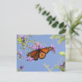 Carte Postale Papillon monarque (Debout devant)