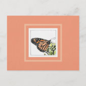 Carte Postale Papillon monarque (colorisé) (Devant)