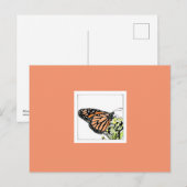 Carte Postale Papillon monarque (colorisé) (Devant / Derrière)