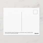 Carte Postale Papillon monarque (colorisé) (Dos)