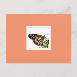 Carte Postale Papillon monarque (colorisé)