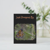 Carte Postale Papillon monarque dans l'herbe (Debout devant)