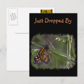 Carte Postale Papillon monarque dans l'herbe (Devant / Derrière)