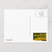 Carte Postale Papillon monarque dans l'herbe (Dos)