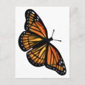 Carte Postale Papillon Monarque dessin crayon coloré (Devant)