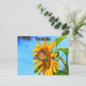 Carte Postale Papillon monarque du Kansas sur un tournesol (Debout devant)